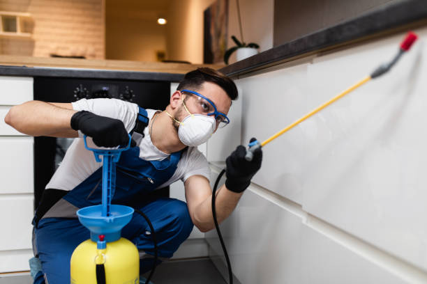 Best Wasp Removal Services  in Bellefonte, PA