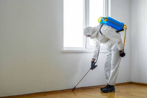 Best Best Pest Control Companies  in Bellefonte, PA
