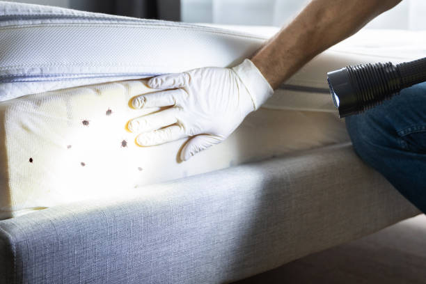 Best Flea Control Services  in Bellefonte, PA