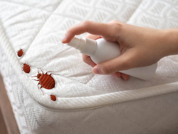 Best Mosquito Control Services  in Bellefonte, PA