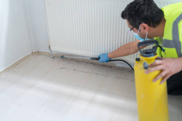 Reliable Bellefonte, PA Pest Control Solutions